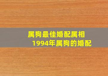 属狗最佳婚配属相 1994年属狗的婚配